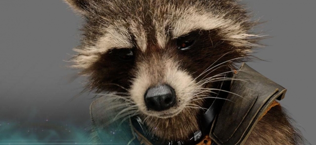 5 Reasons Why Rocket Should be Your Favourite Guardian (Contains Spoilers!!!)