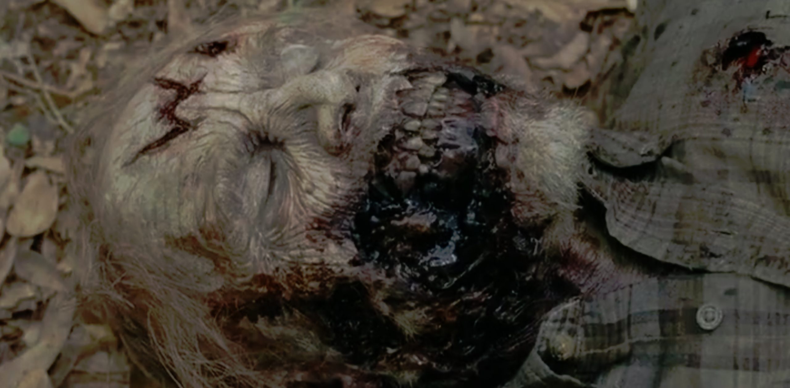 Walking Dead Speculation: What Do the W's on the Walkers Mean?