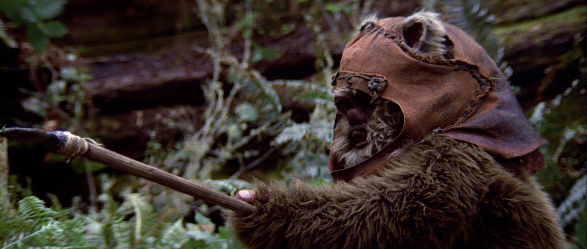 Is Wicket the Ewok Returning for Star Wars: The Force Awakens?
