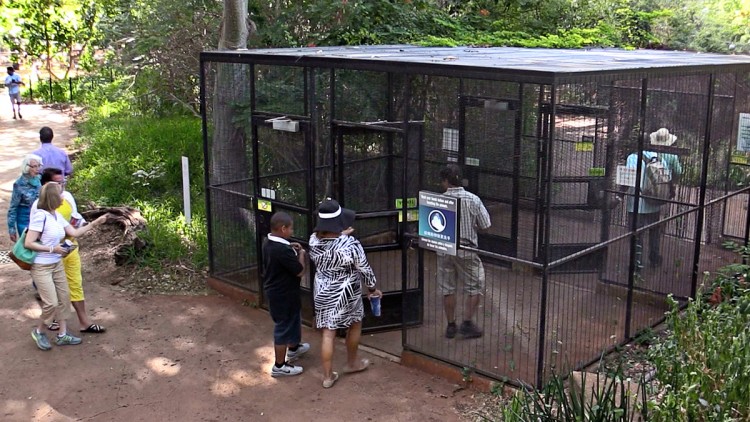 aviary-entrance