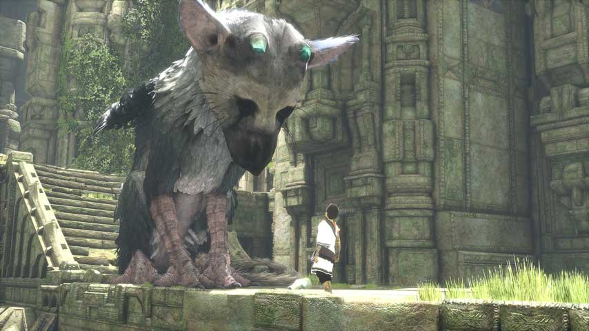 Ico & Shadow of The Colossus - Game X